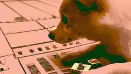 Synopsys 攜手越南當局推動半導體產業，提升全球競爭力