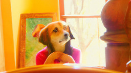 西班牙 YouTuber 對 Google 提訴，或將改變全球 gig-economy 權益