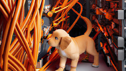 NetApp 與 AWS 合作推出 FSx for ONTAP，大幅提升儲存性能