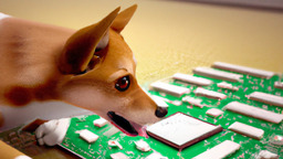 英特爾分拆計畫，全球半導體產業格局將變動