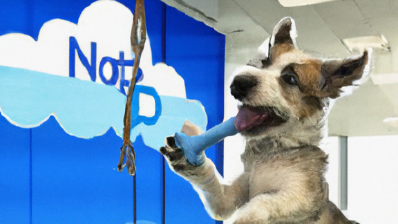  NetApp 業績超預期，雲端服務需求強勁